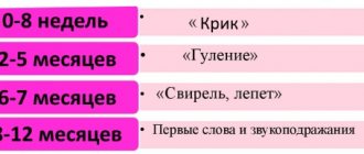 Stages of speech formation